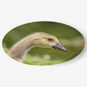 Kanadische Gänse (Gänse) Pappteller (Schrägansicht)
