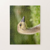 Kanadische Gänse (Gänse) Puzzle (Vertikal)