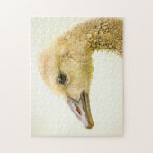 Kanadische Gänse (Gänse) Puzzle (Vertikal)