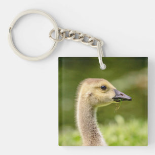 Kanadische Gänse (Gänse) Schlüsselanhänger