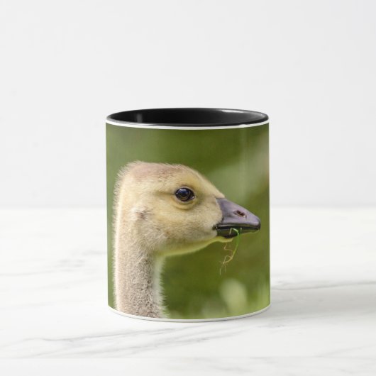 Kanadische Gänse (Gänse) Tasse (Zentrum)
