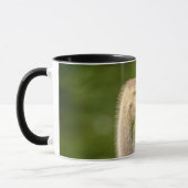 Kanadische Gänse (Gänse) Tasse (Links)