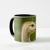 Kanadische Gänse (Gänse) Tasse (Vorderseite Links)