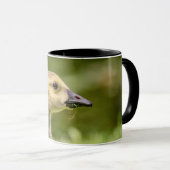 Kanadische Gänse (Gänse) Tasse (VorderseiteRechts)