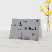 Kanadische Gänse im Flug II Karte (Gelbe Blume)