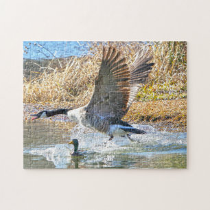 Kanadische Gänse. Jigsaw Puzzle