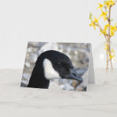 Kanadische Gänse Karte (Gelbe Blume)