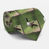 Kanadische Gänse Krawatte (Gerollt)
