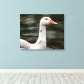 Kanadische Gänse Leinwanddruck (Insitu (Holzboden))