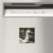 Kanadische Gänse Magnet (In Situ (Geschirrspüler))