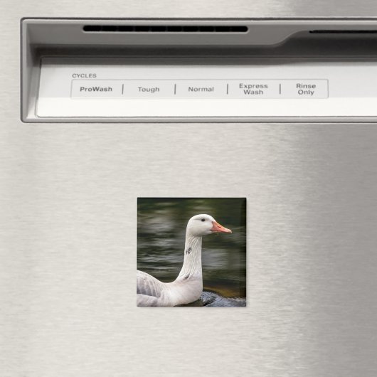 Kanadische Gänse Magnet (In Situ (Geschirrspüler))