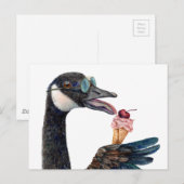 Kanadische Gänse mit Eiscreme Postkarte (Vorne/Hinten)