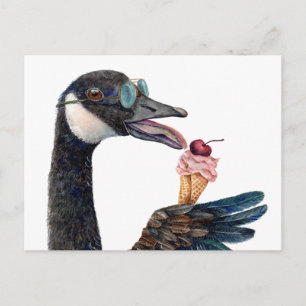 Kanadische Gänse mit Eiscreme Postkarte