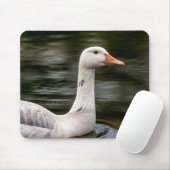 Kanadische Gänse Mousepad (Mit Mouse)