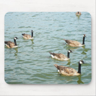 Kanadische Gänse Mousepad