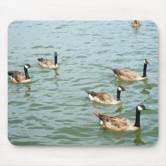 Kanadische Gänse Mousepad (Vorne)