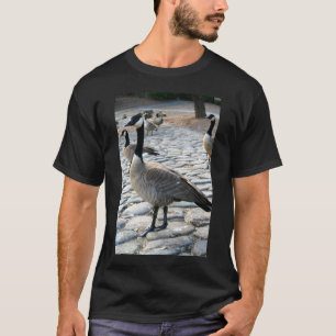 Kanadische Gänse nähern sich dem See-T - Shirt