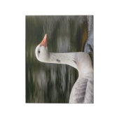 Kanadische Gänse Notizblock (Rotiert)