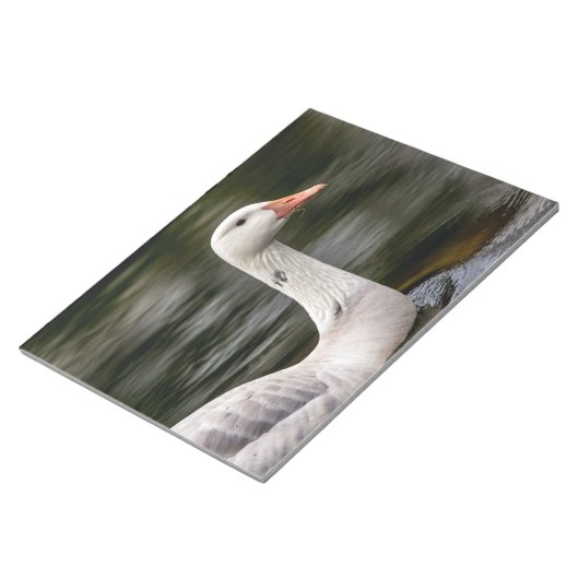 Kanadische Gänse Notizblock (angewinkelt)