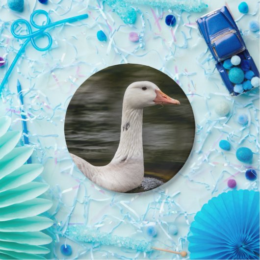 Kanadische Gänse Pappteller (Party)