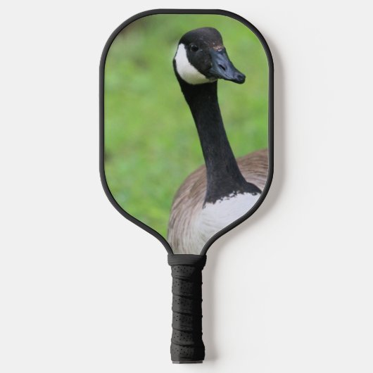 Kanadische Gänse Pickleball Schläger (Vorderseite)