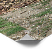 Kanadische Gänse Poster (Ecke)