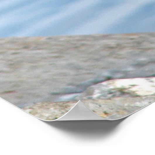 Kanadische Gänse Poster (Ecke)