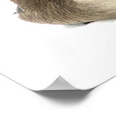 Kanadische Gänse Poster (Ecke)