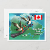 kanadische Gänse Postkarte (Vorne/Hinten)