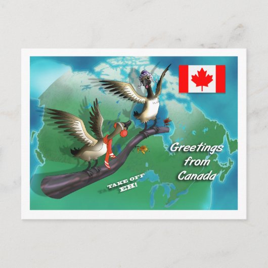 kanadische Gänse Postkarte (Vorderseite)