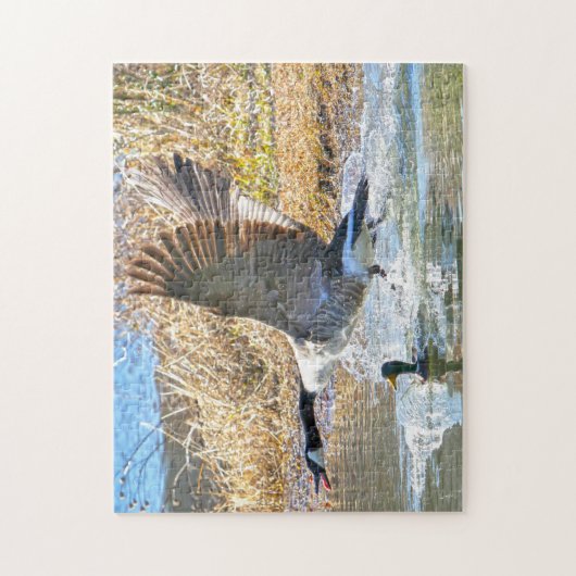 Kanadische Gänse. Puzzle (Vertikal)