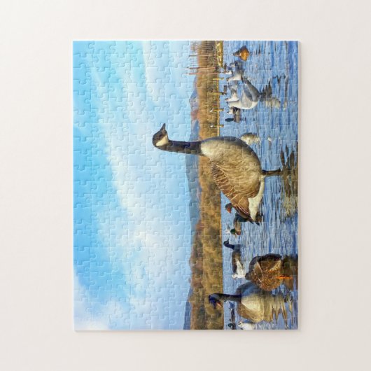 Kanadische Gänse. Puzzle (Vertikal)