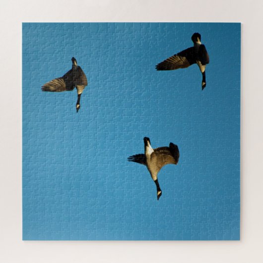kanadische Gänse Puzzle (Horizontal)