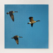 kanadische Gänse Puzzle (Vertikal)