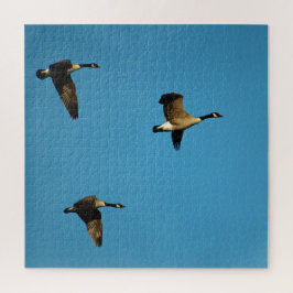 kanadische Gänse Puzzle