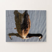 Kanadische Gänse Schwimmen am See Puzzle (Horizontal)