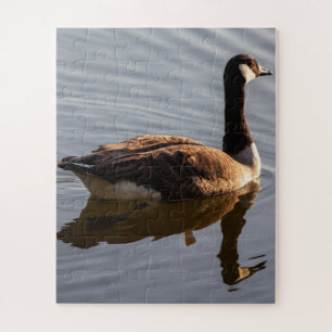Kanadische Gänse Schwimmen am See Puzzle