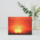 Kanadische Gänse, silhouettiert gegen feurigen Son Postkarte (Stehend Vorderseite)