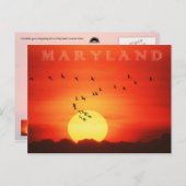Kanadische Gänse, silhouettiert gegen feurigen Son Postkarte (Vorne/Hinten)