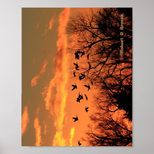Kanadische Gänse Sonnenuntergang Silhouette Holzpo Poster (Vorne)