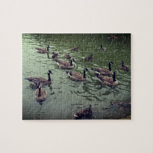 Kanadische Gänse und Mallard Ducks Jigsaw Puzzle (Horizontal)
