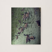 Kanadische Gänse und Mallard Ducks Jigsaw Puzzle (Vertikal)