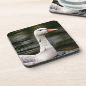 Kanadische Gänse Untersetzer (Linke Seite)