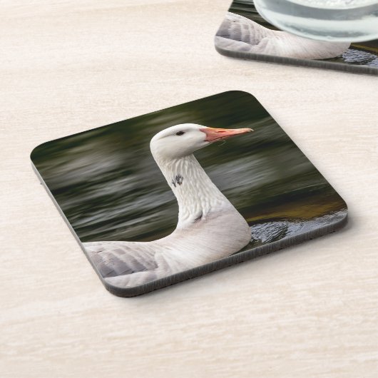 Kanadische Gänse Untersetzer (Linke Seite)