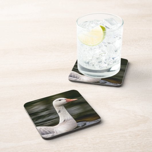 Kanadische Gänse Untersetzer (Rechte Seite)