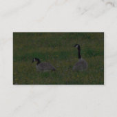 Kanadische Gänse Visitenkarte (Rückseite)