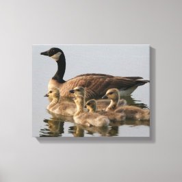 Kanadische Gänse-Vogelliebhaber Geschenke Leinwanddruck