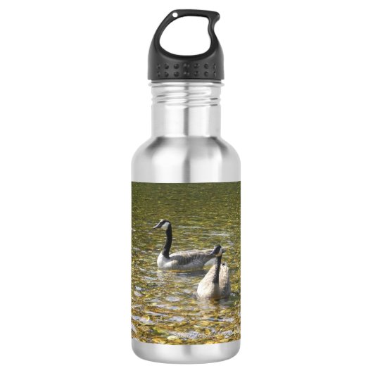 Kanadische Gänse ~ Wasser-Flasche Trinkflasche (Vorderseite)