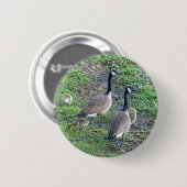 Kanadische Gänserfamilie Button (Vorne & Hinten)