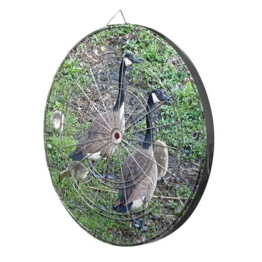 Kanadische Gänserfamilie Dartscheibe (Vorderseite rechts)